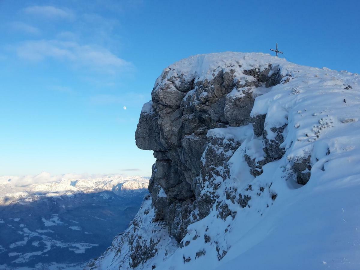 Ferienwohnungen Arikogel Bad Goisern Ngoại thất bức ảnh